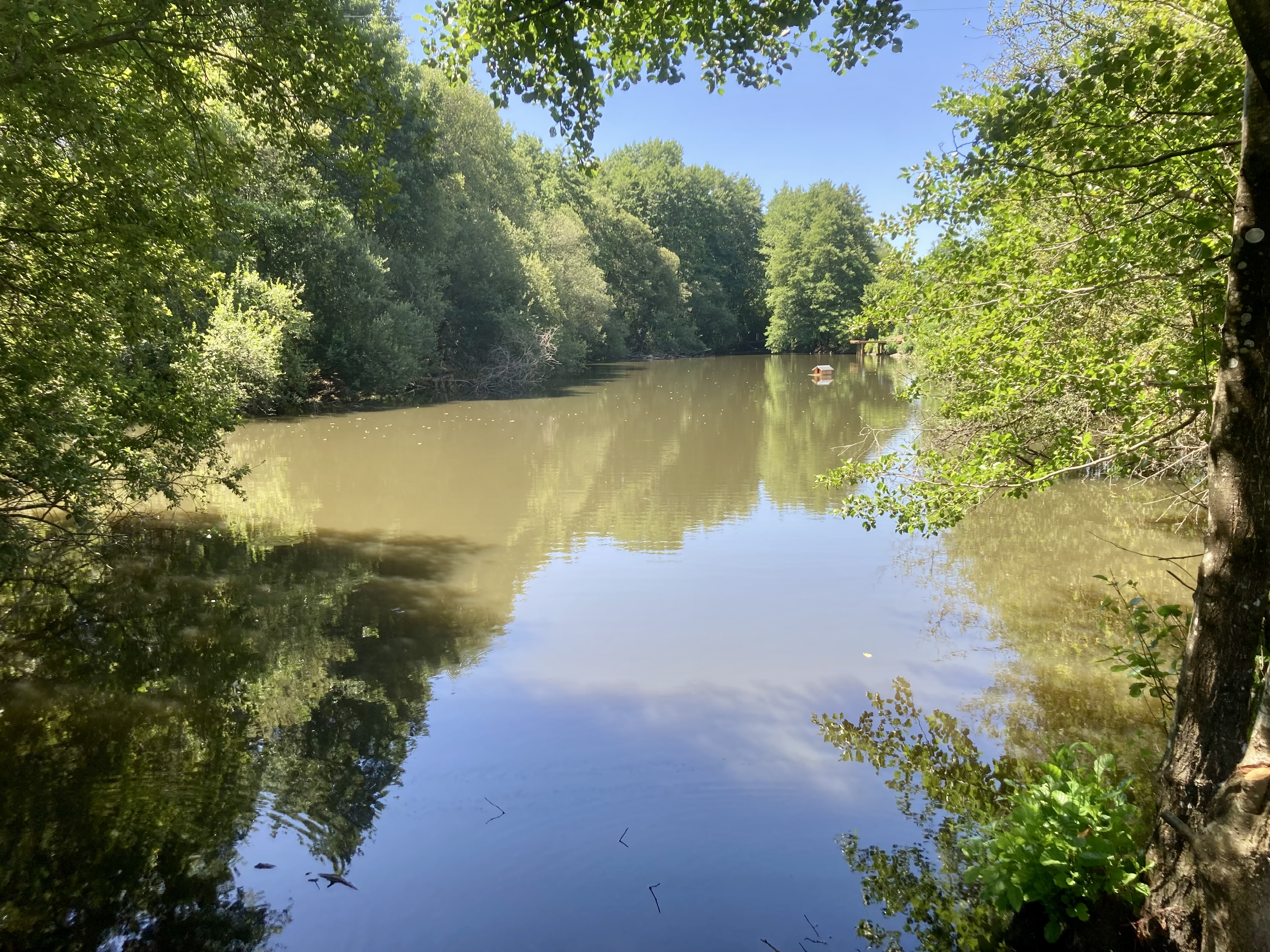 Etang de loisirs