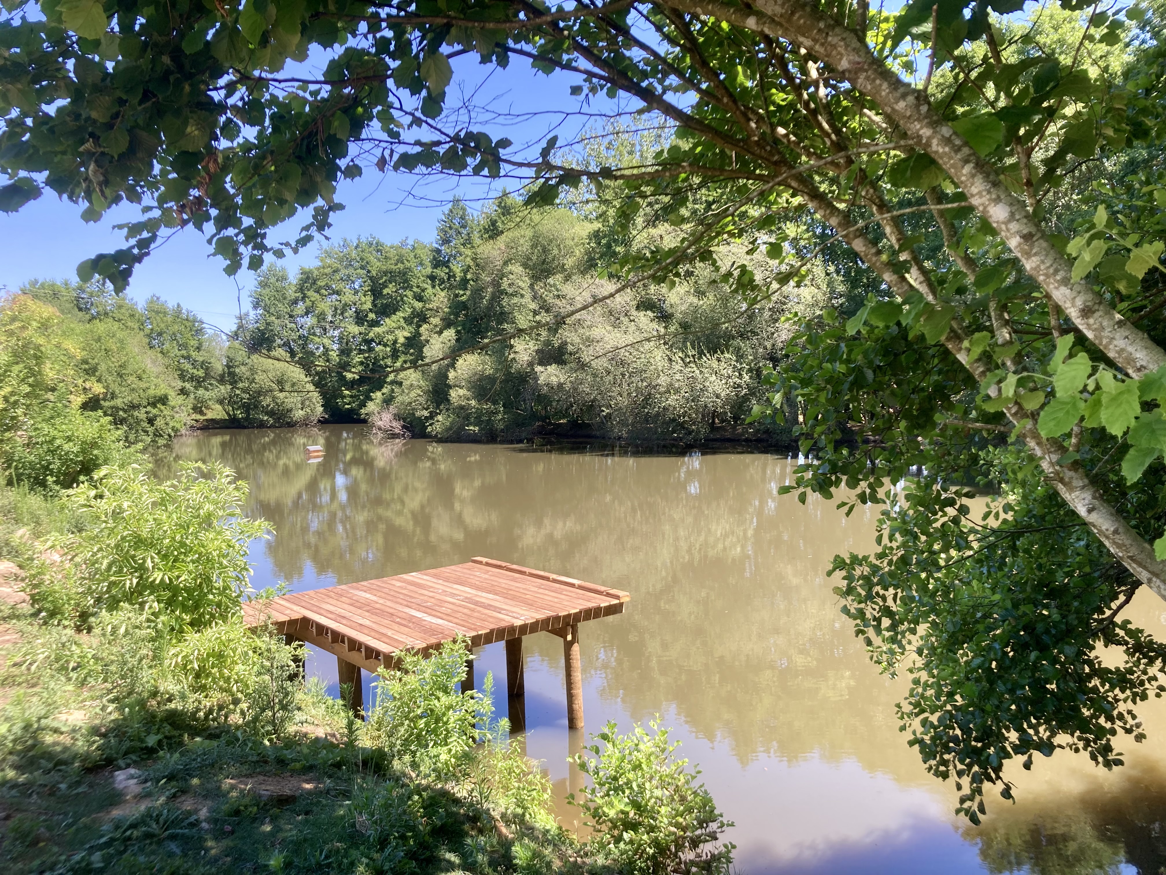 Etang de loisirs — photo 2