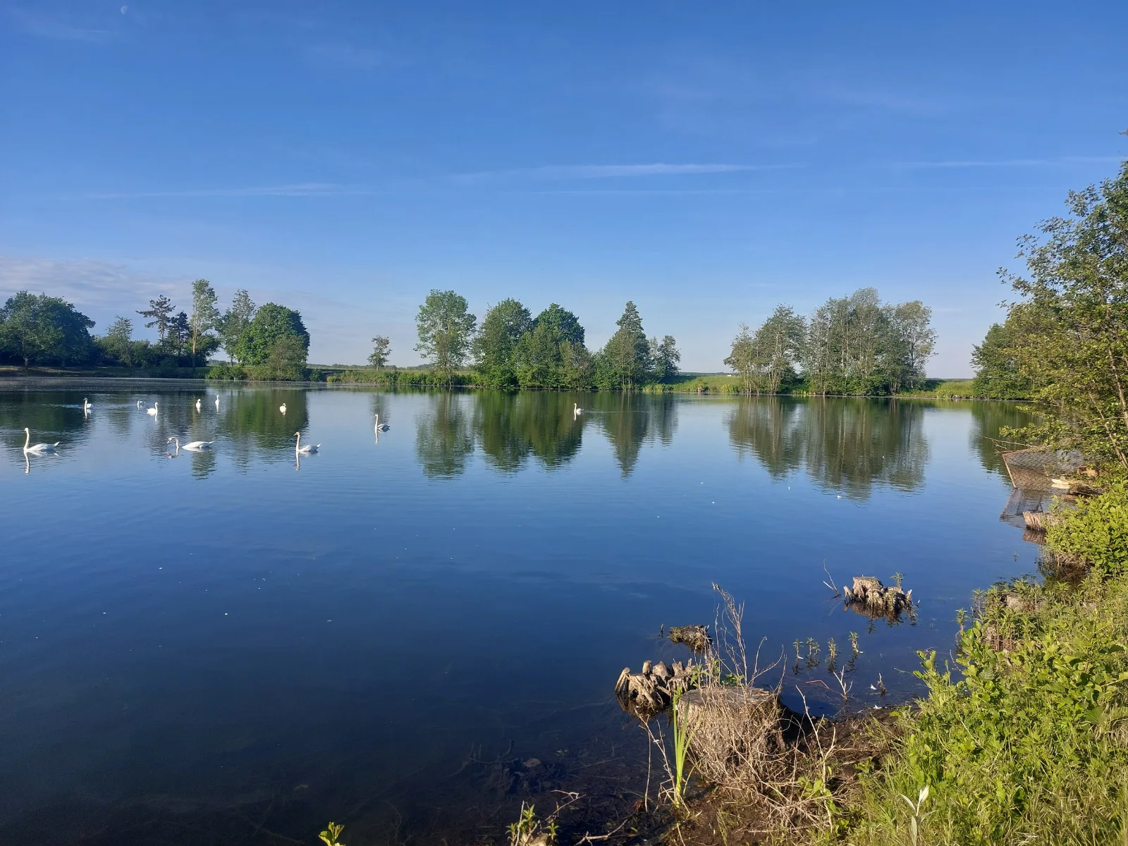 A vendre etang. — photo 2