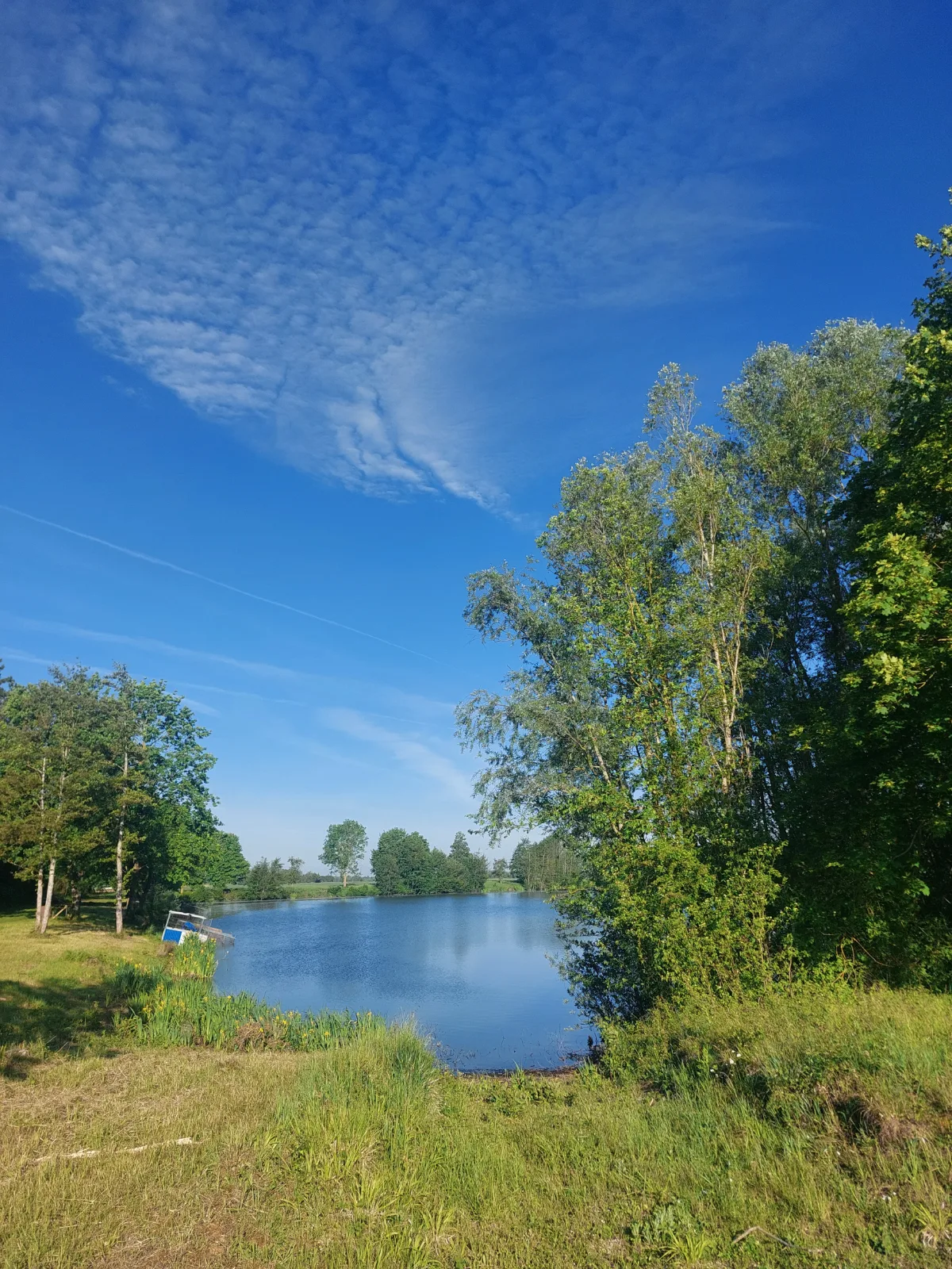 A vendre etang. — photo 3