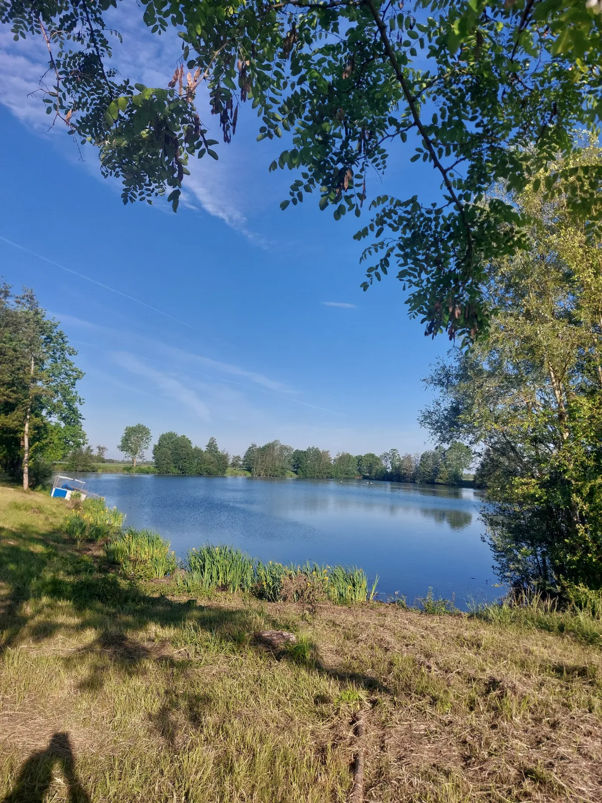 A vendre etang. — photo 4