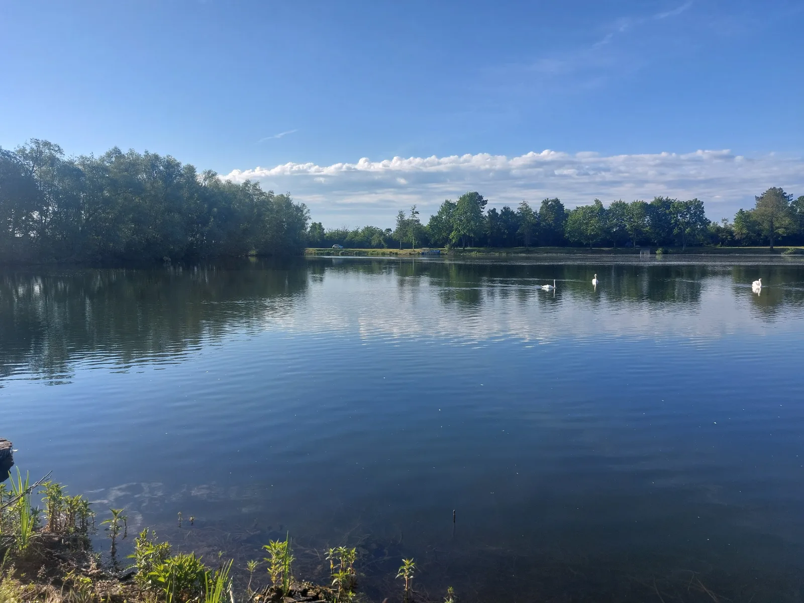 A vendre etang. — photo 5