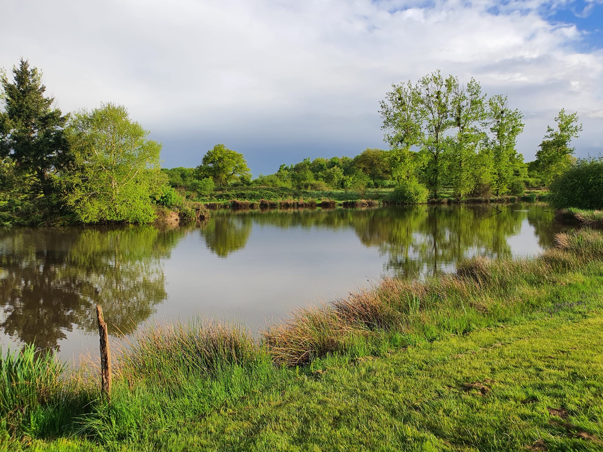 Etang