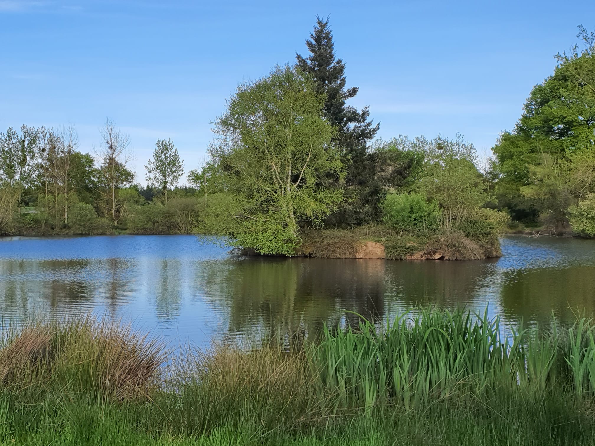 Etang — photo 2