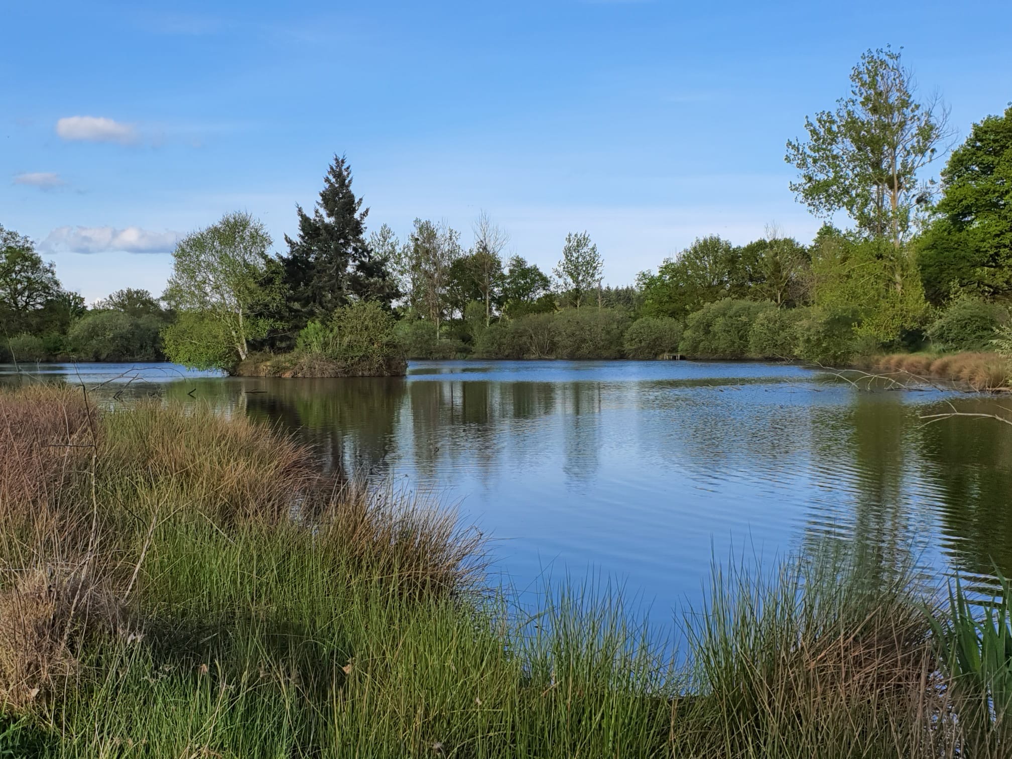 Etang — photo 3