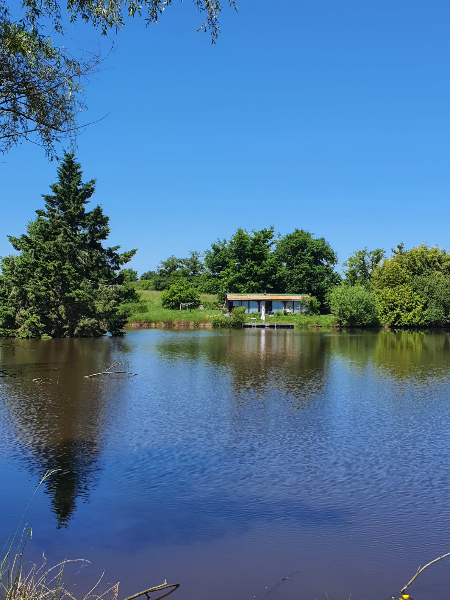 Etang — photo 4