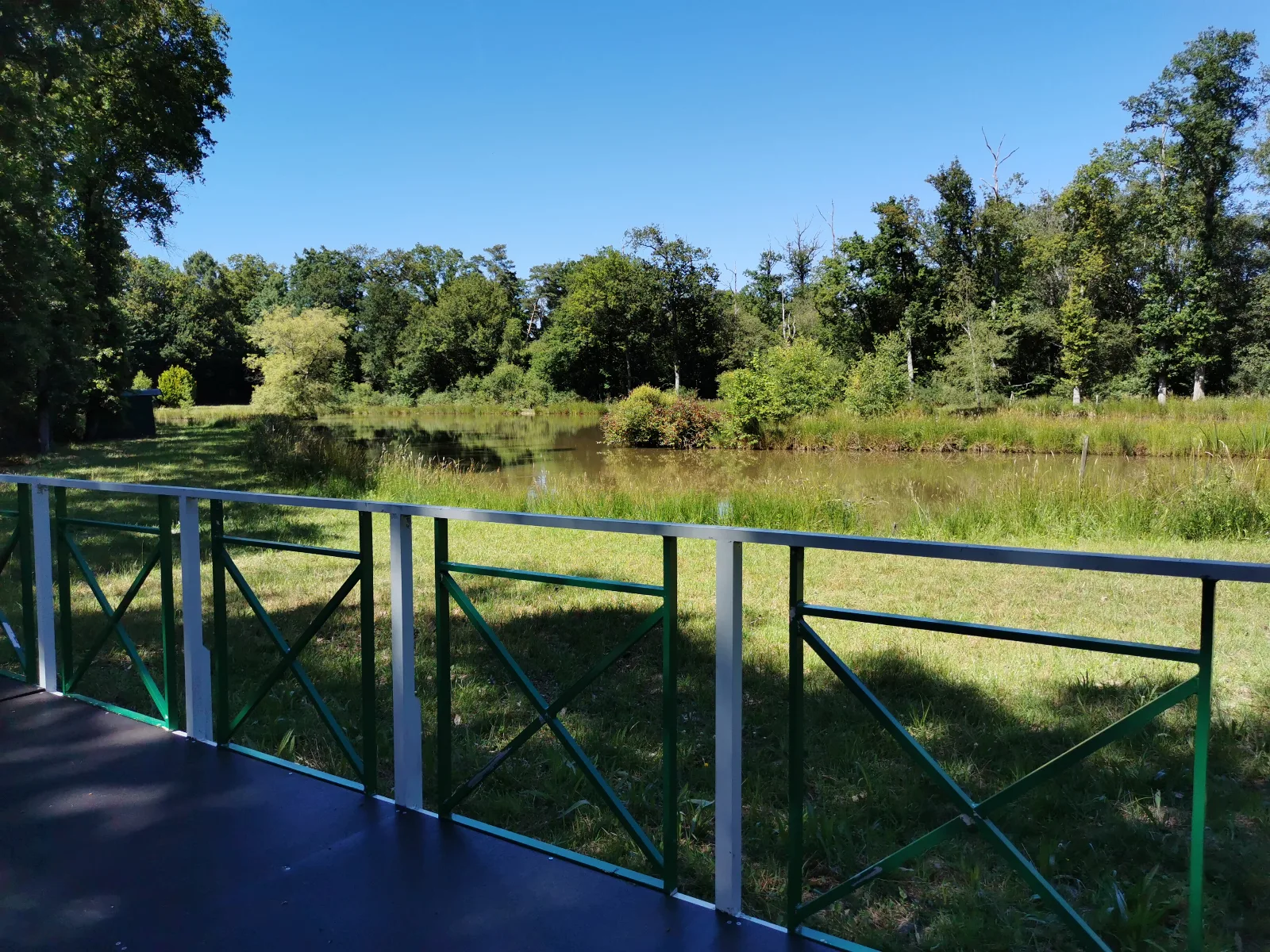 Etang de loisir à Dingé (35)