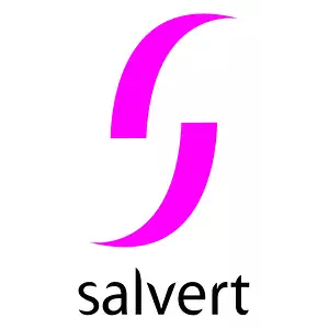 SALVERT CABINET CONSEIL
