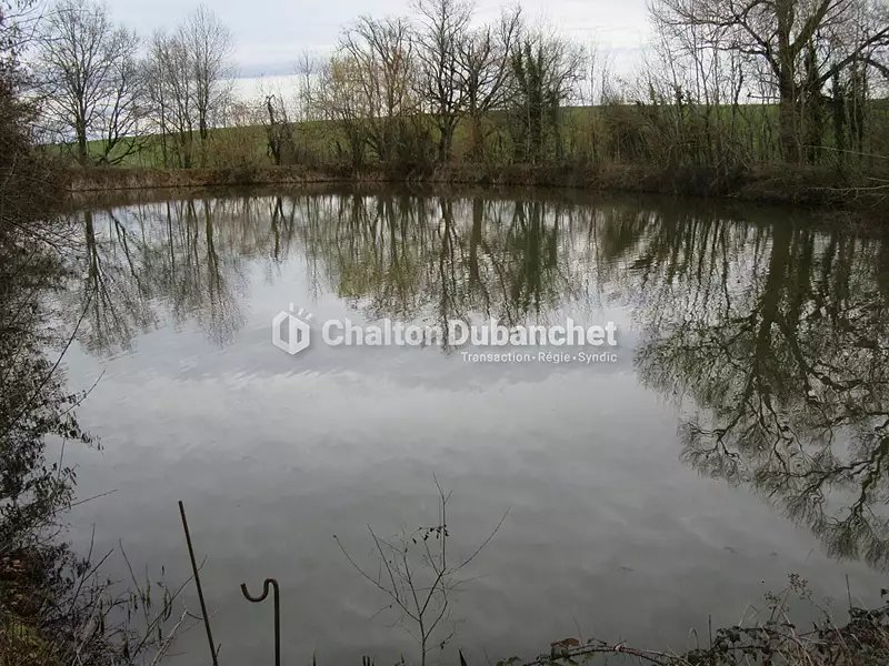 Étang d'agrément à Saint-Cyr-de-Favières — photo 2