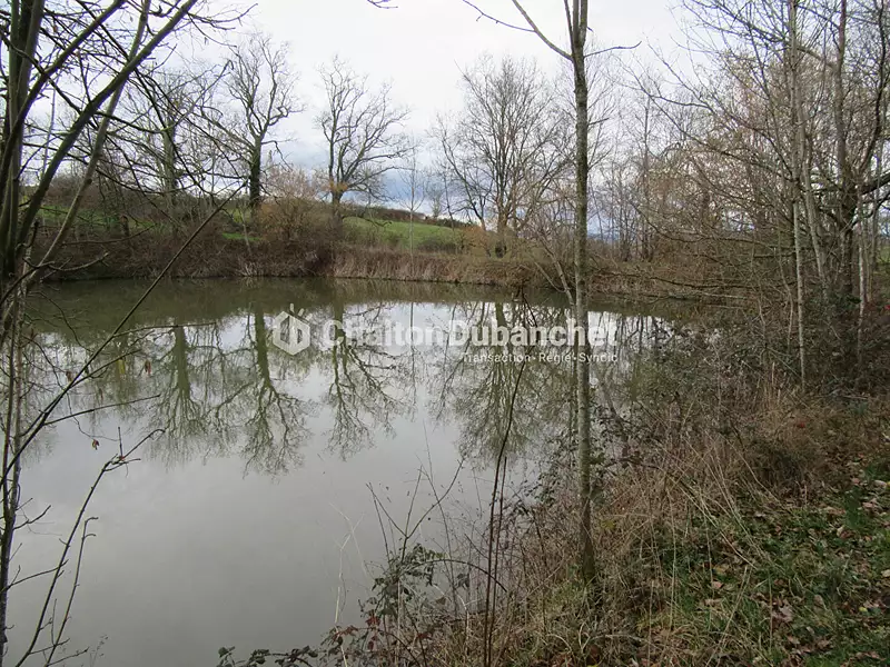 Leisure lake and pond, 1.7 ha in the Loire — photo 4