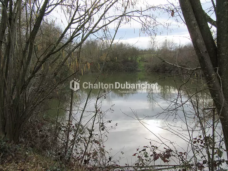 Étang d'agrément à Saint-Cyr-de-Favières — photo 4