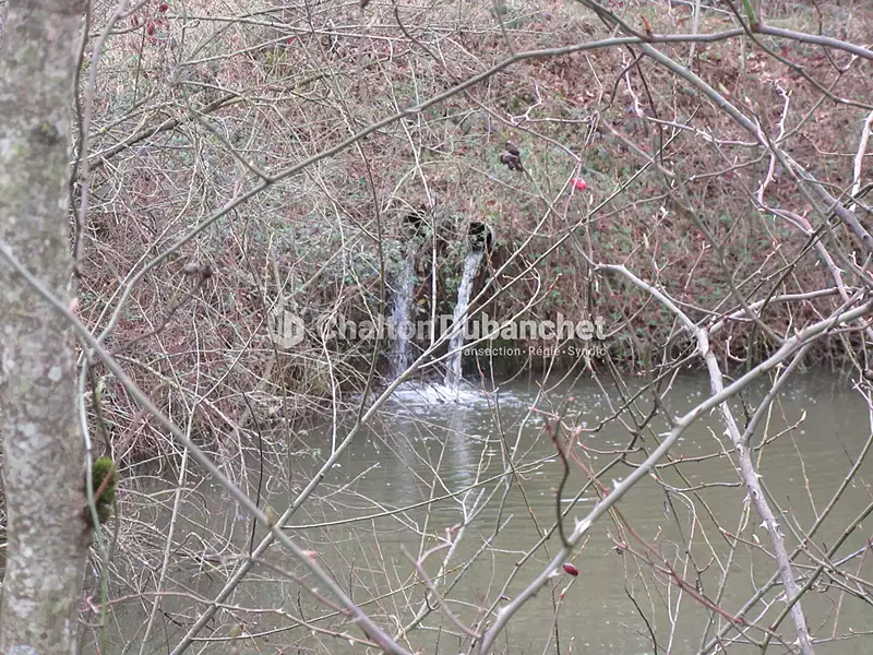 Étang d'agrément à Saint-Cyr-de-Favières — photo 3