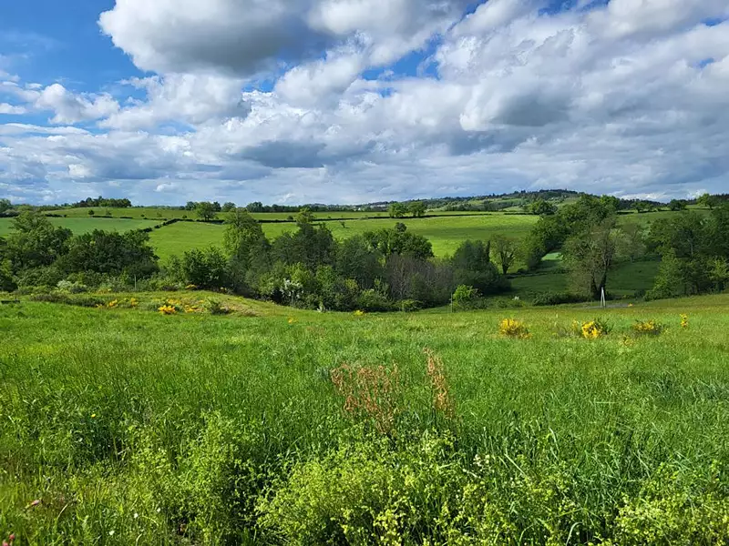 Étang de pêche à Saint-Marcel-de-Félines