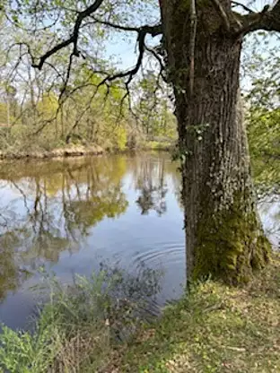 Étang de pêche à Arthun — photo 3