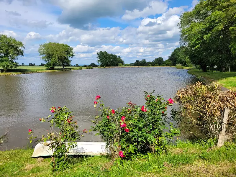 Fishing lake, 0.7 ha in Auvergne — photo 5