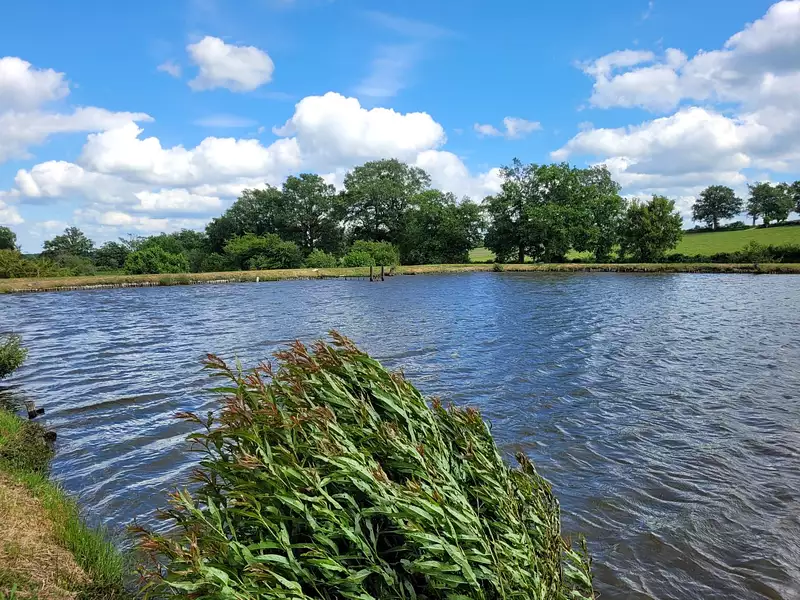 Étang de pêche à Huriel — photo 2
