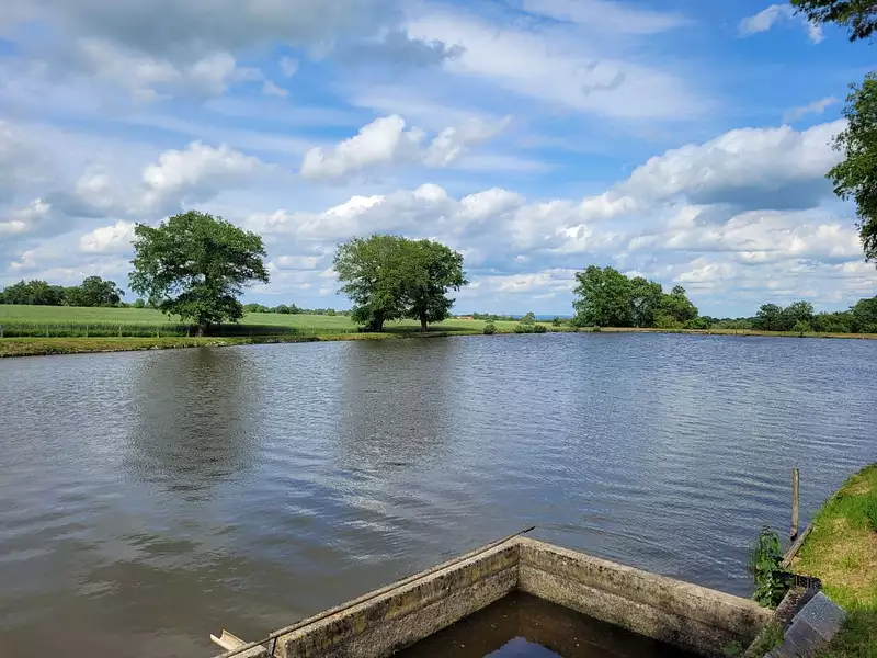 Étang de pêche à Huriel — photo 3