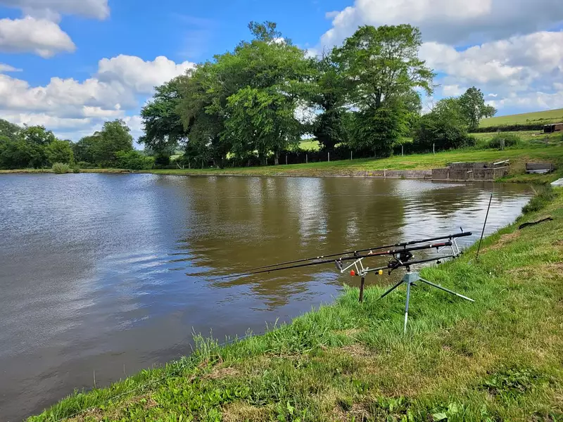 Étang de pêche à Huriel — photo 4