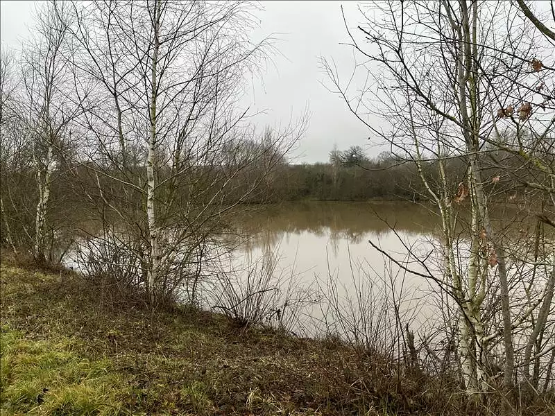 Étang d'agrément de 1 ha à Saint-Désiré — photo 2