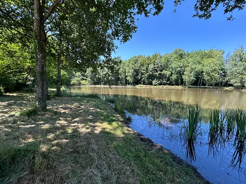 Étang d'agrément de 5 ha à Saint-Désiré