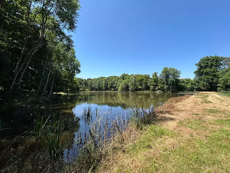 Leisure lake, 5 ha with mature woodland in Limousin — photo 5