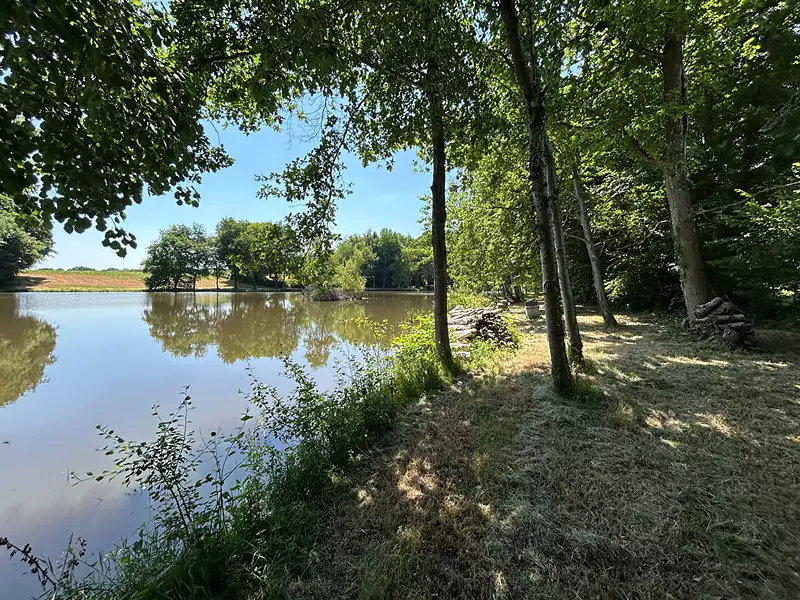 Étang d'agrément de 5 ha à Saint-Désiré — photo 3