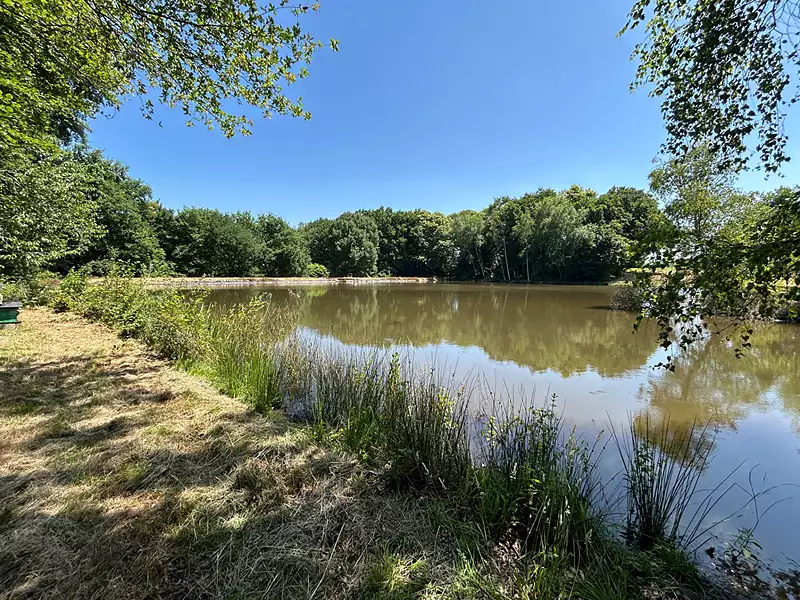 Leisure lake, 5 ha with mature woodland in Limousin — photo 3