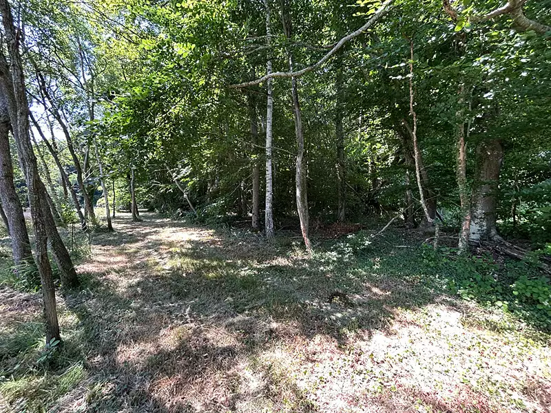 Étang d'agrément de 5 ha à Saint-Désiré — photo 2