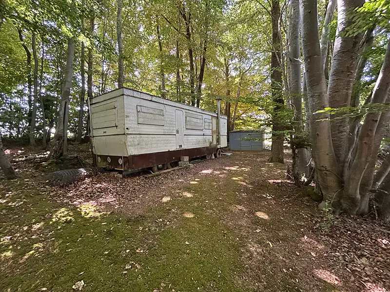 Leisure lake, 5 ha with mature woodland in Limousin — photo 4