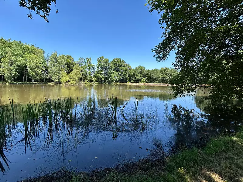 Étang d'agrément de 5 ha à Saint-Désiré — photo 4