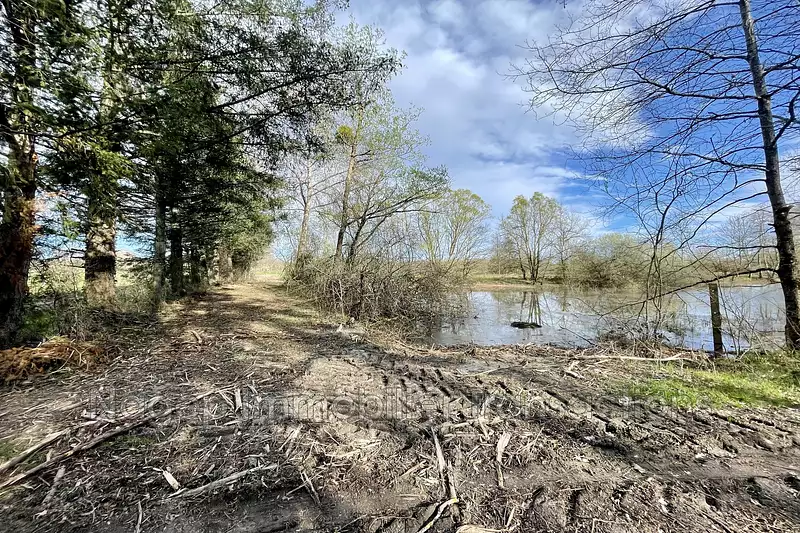 Leisure lake, 5,800 m² with woodland and pasture, Auvergne — photo 5