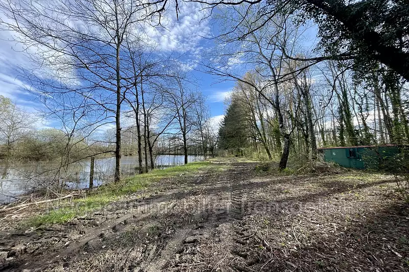 Étang d'agrément à Lezoux — photo 5