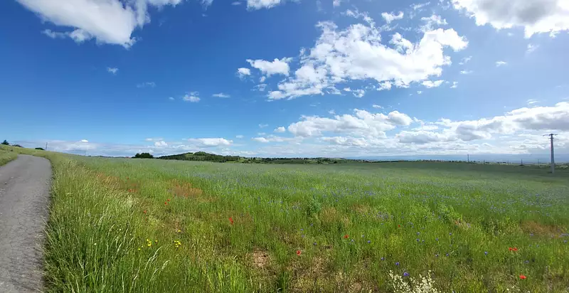 Étang de pêche à Saint-Marcel-de-Félines — photo 2