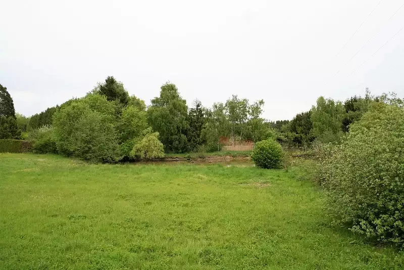 Étang d'agrément à Foussemagne — photo 2