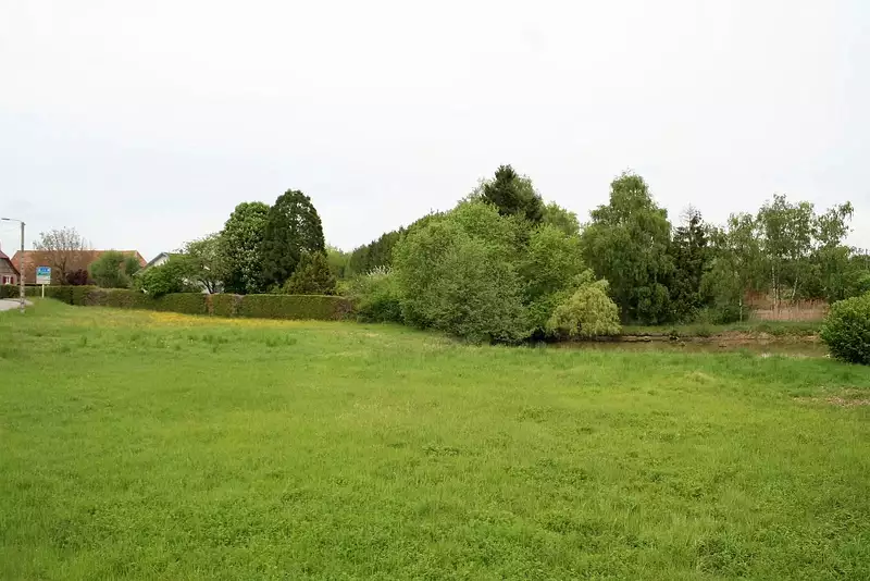Étang d'agrément à Foussemagne — photo 3