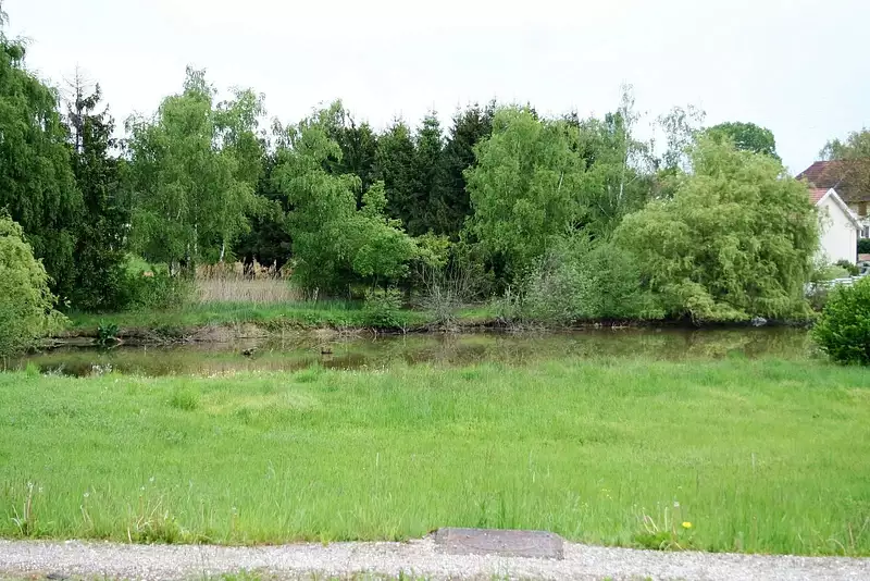 Étang d'agrément à Foussemagne