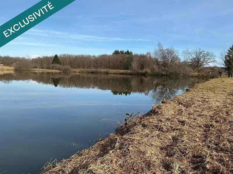 Étang d'agrément à Magnivray — photo 4