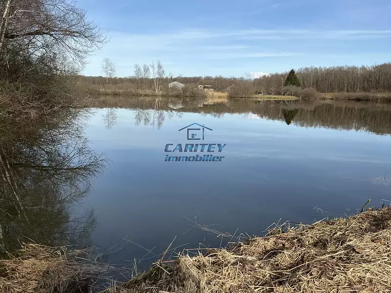 Étang d'agrément à Magnivray — photo 2