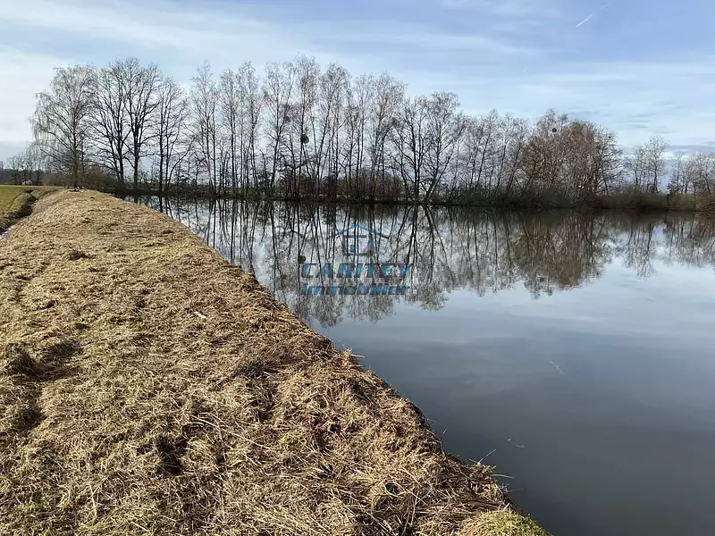 Étang d'agrément à Magnivray — photo 4