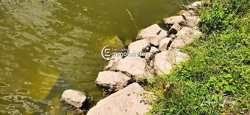 Étang de pêche à ch Louhans — photo 4