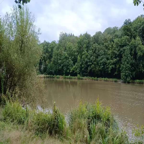 Étang d'agrément à Valdoie — photo 3