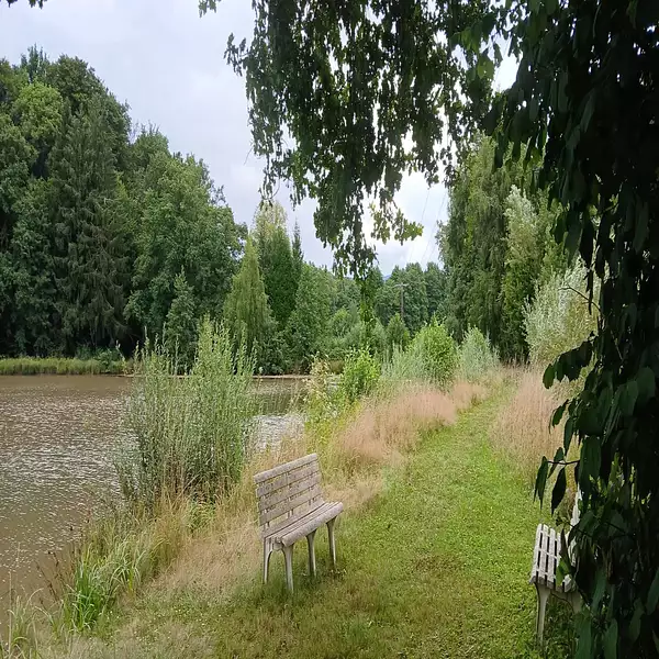 Étang d'agrément à Valdoie — photo 2