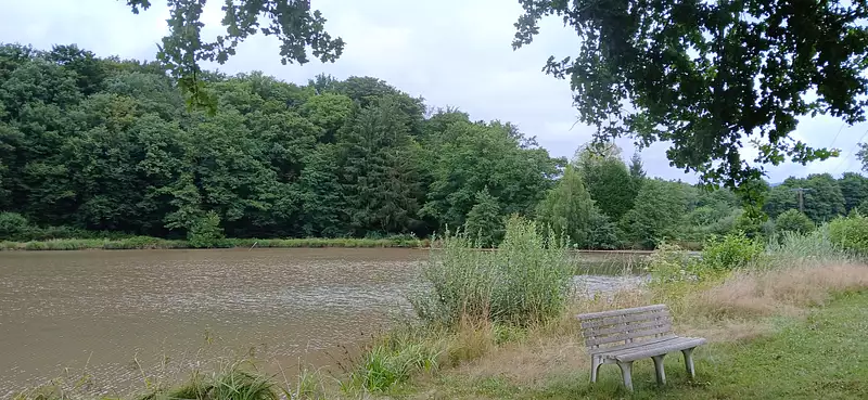 Étang de pêche de 1,5 ha à Valdoie — photo 2