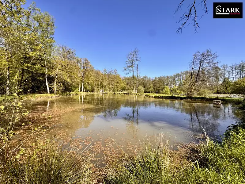Étang de pêche à Lachapelle-sous-Chaux — photo 2