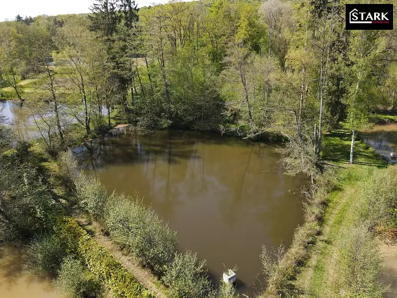 Étang de pêche à Lachapelle-sous-Chaux