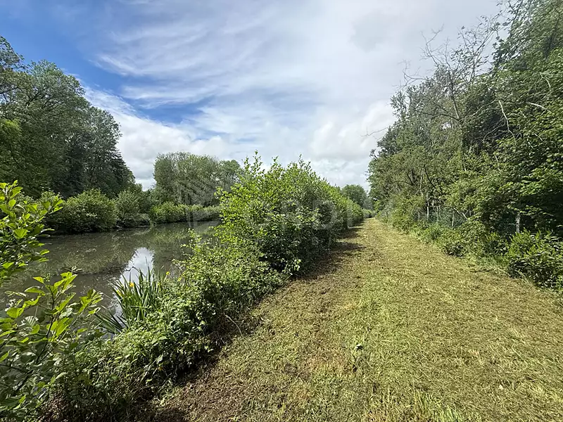 Étang de pêche de 2 ha à Saint-Fargeau — photo 4