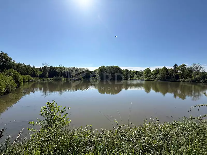 Étang de pêche de 2 ha à Saint-Fargeau