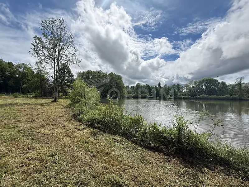 Fishing lake, 2 ha, Saint-Fargeau, Burgundy — photo 5