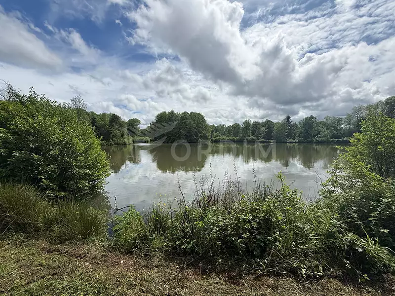 Étang de pêche de 2 ha à Saint-Fargeau — photo 3