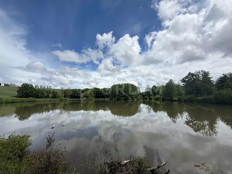 Étang de pêche de 2 ha à Saint-Fargeau — photo 2